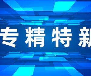 江苏尊龙凯时荣获江苏省专精特新小巨人企业称号