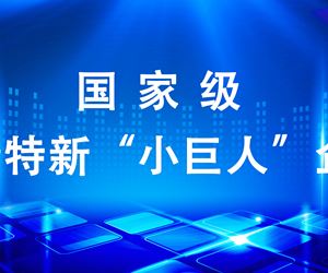 江苏尊龙凯时成功入选第四批国家级专精特新“小巨人”企业